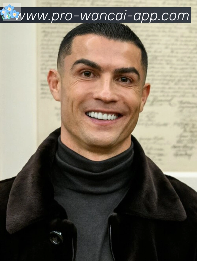 维尼修斯